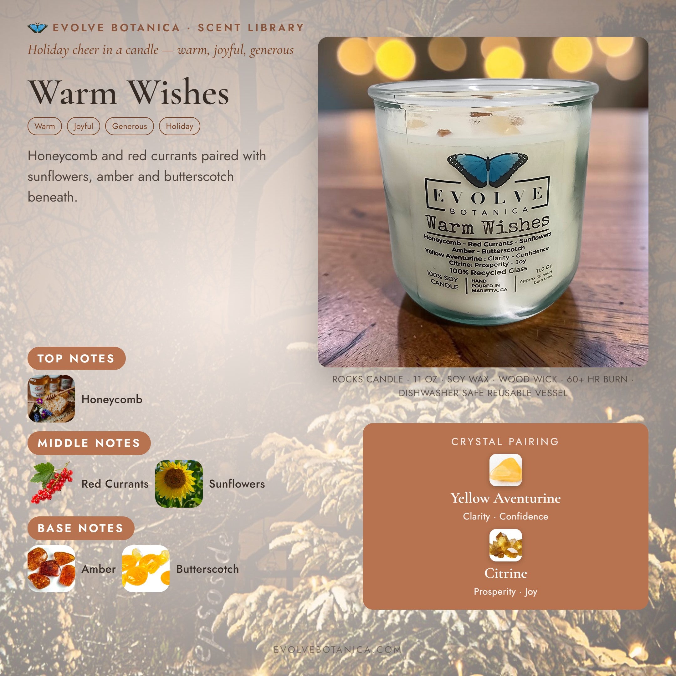 Warm Wishes scent notes — Honeycomb, Red Currants, Sunflowers, Amber, and Butterscotch paired with Yellow Aventurine and Citrine crystals. Evolve Botanica Rocks candle: 11 oz soy wax, wood wick, reusable glass.