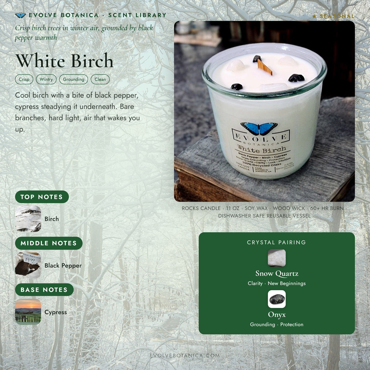 White Birch scent notes — Birch, Black Pepper, and Cypress paired with Snow Quartz and Onyx crystals. Evolve Botanica Rocks candle: 11 oz soy wax, wood wick, reusable glass.