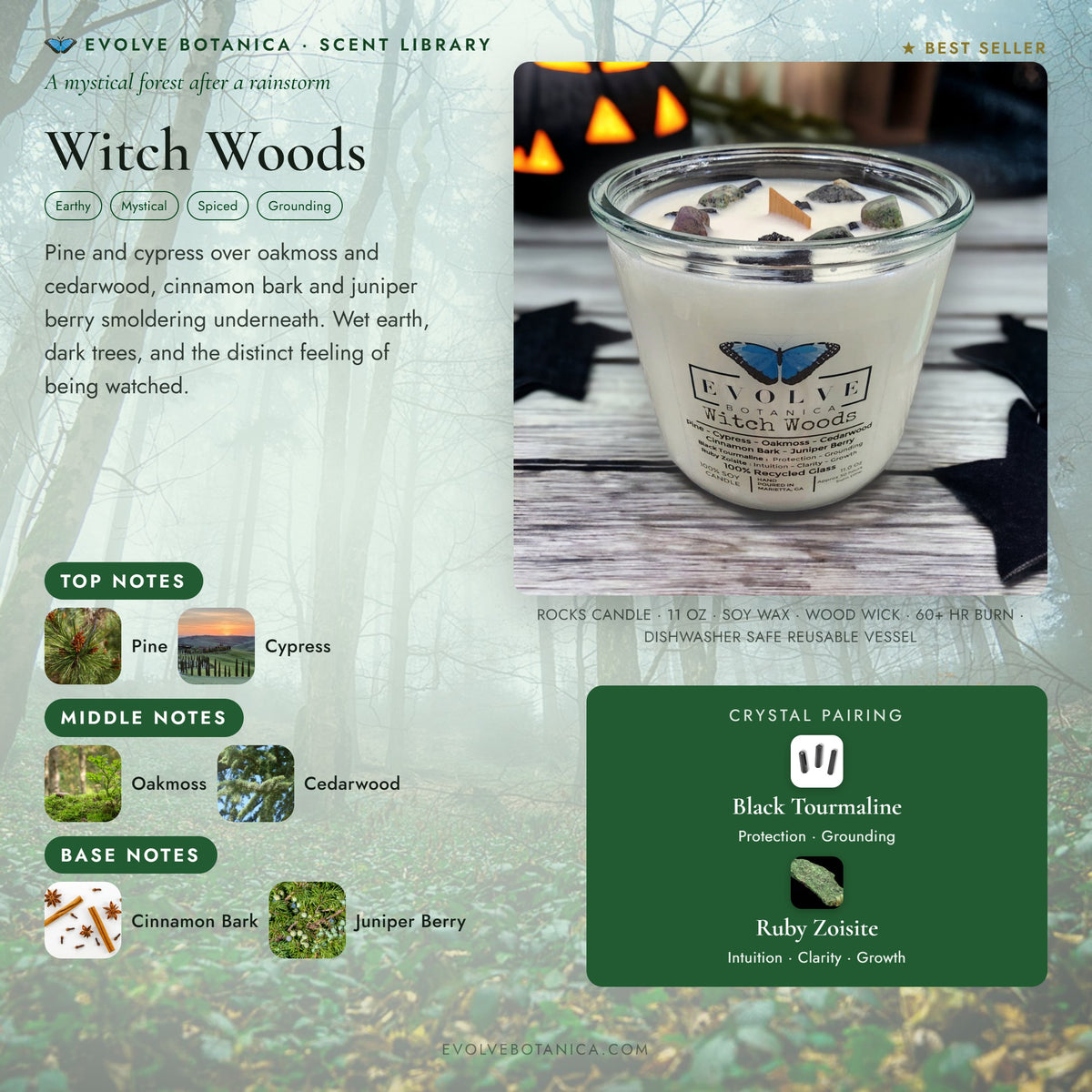 Witch Woods scent notes — Pine, Cypress, Oakmoss, Cedarwood, Cinnamon Bark, and Juniper Berry paired with Black Tourmaline and Ruby Zoisite crystals. Evolve Botanica Rocks candle: 11 oz soy wax, wood wick, reusable glass.