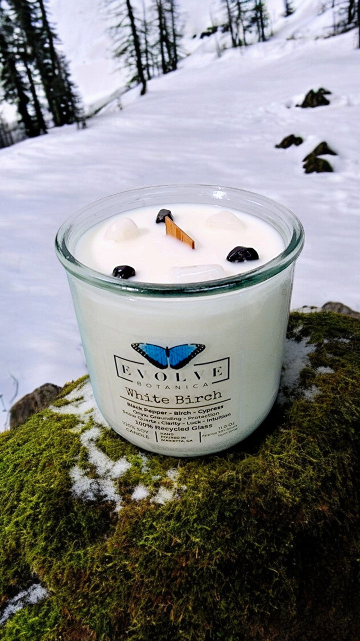White Birch candle top-down — wood wick, dual crystals, winter scent