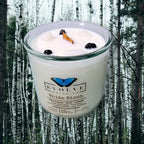Evolve Botanica Rocks Candle - White Birch (Wood Wick Snow Quartz & Onyx Gemstone Soy Candle)