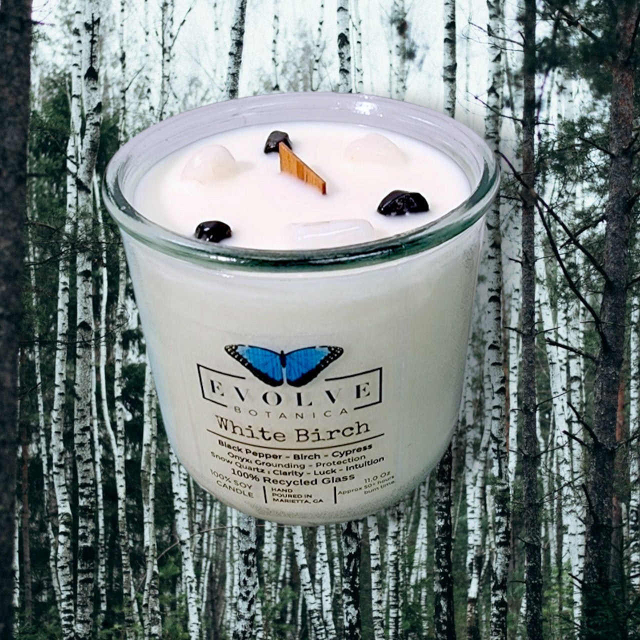 White Birch Rocks candle in Evolve Botanica packaging — winter gift idea