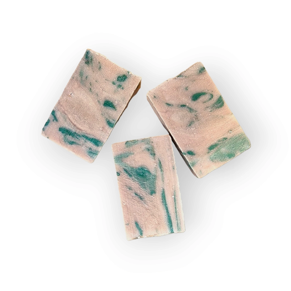 Evolve Botanica Seasonal Soap - Evergreen (Christmas, Holiday, Seasonal)