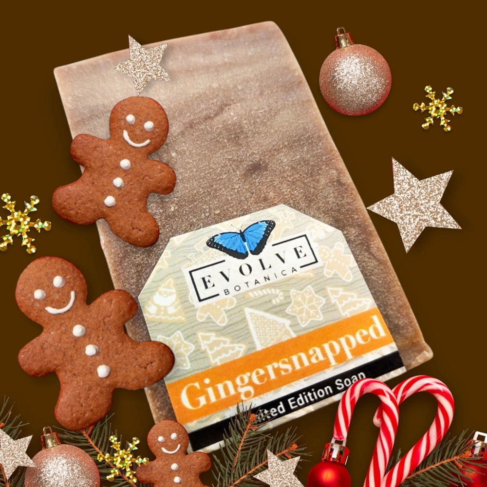 Evolve Botanica Seasonal Soap - Gingersnapped (Christmas)