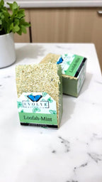 Evolve Botanica Specialty Soap - Loofah-Mint