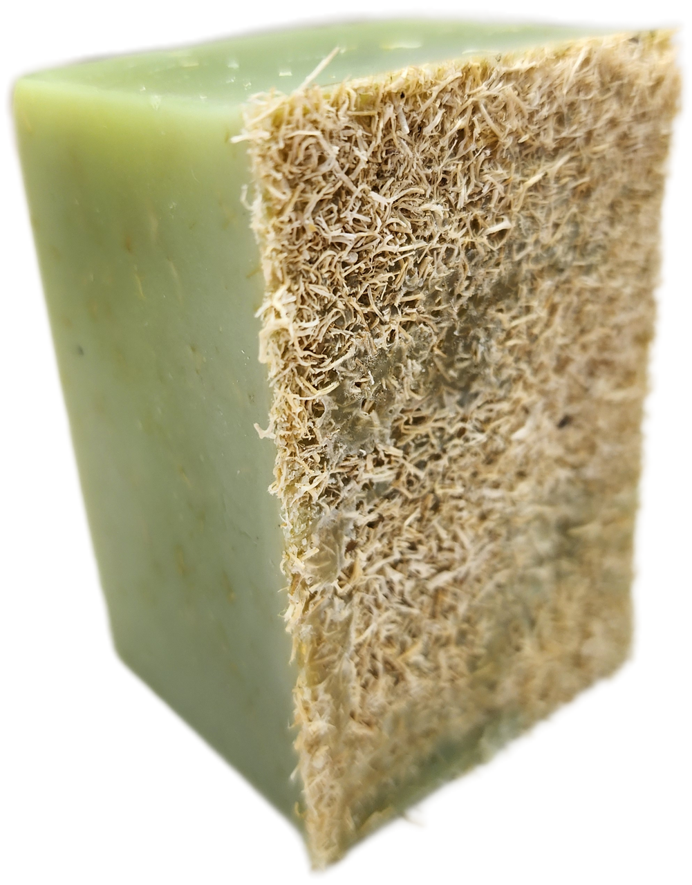 Evolve Botanica Specialty Soap - Loofah-Mint