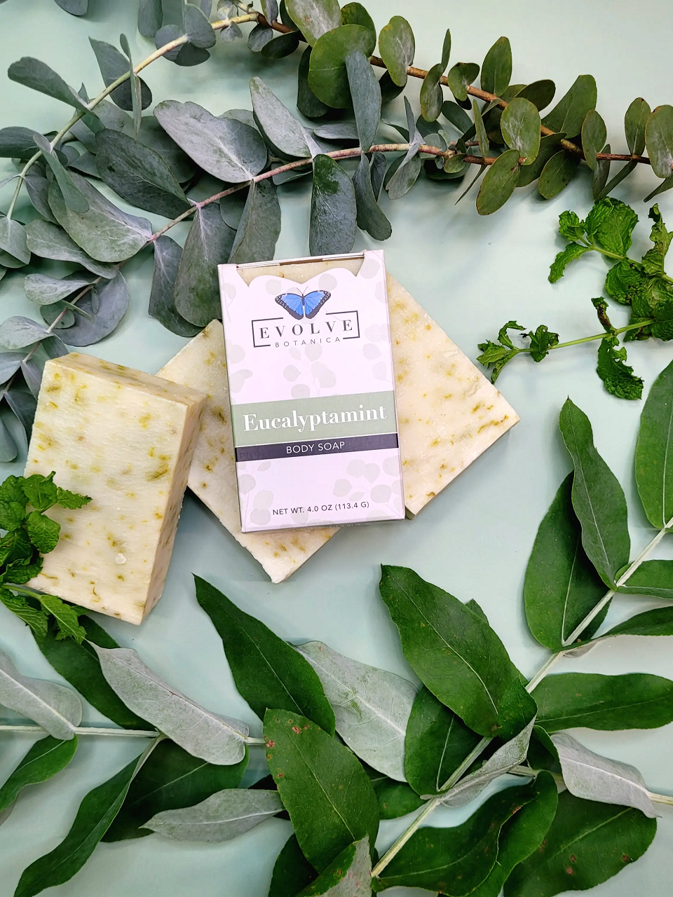 Standard Soap - Eucalyptamint Standard Soaps Evolve Botanica