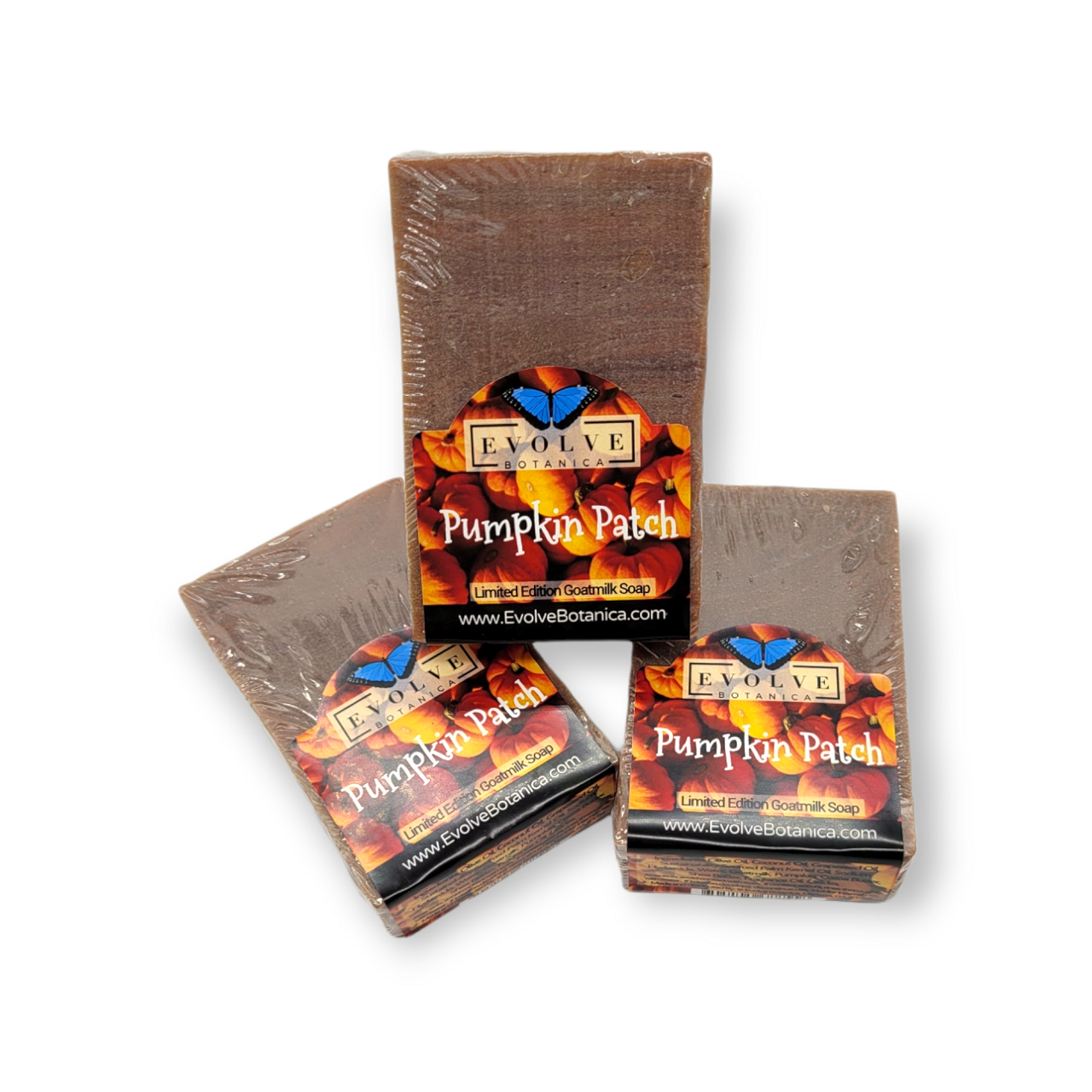 Evolve Botanica Standard Soaps Standard Soap - Pumpkin Patch (Seasonal)
