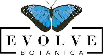 Valentine Gift Certificate