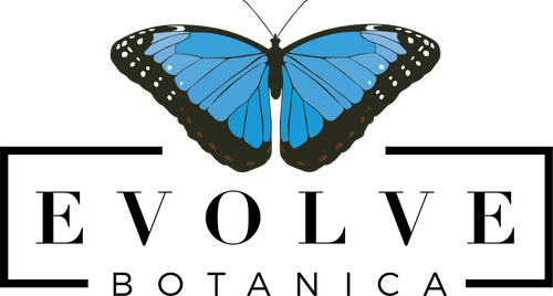 evolvebotanica.com logo