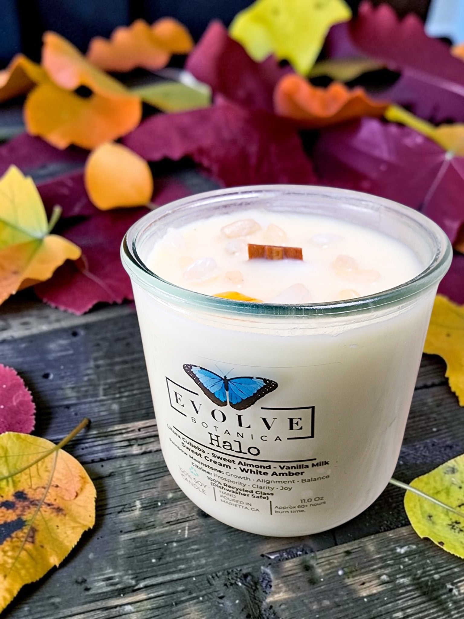 Halo candle angled view on autumn leaves