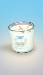 Rocks Candle - Snickerdoodle (Wood Wick Red Jasper & Citrine Gemstone Soy Candle)