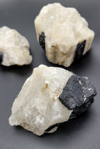 Evolve Botanica Black Tourmaline in Matrix